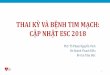 THAI KỲ VÀ BỆNH TIM MẠCH: CẬP NHẬT ESC 2018phamnguyenvinh.org/wp-content/uploads/2019/01/Thai-ky-va-benh-tim-mach... · Bệnh tim mạch trong thai kỳ: cn 2018 Phân