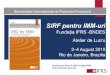 SIRF pentru IMM-uri -  · PDF file1 !Standardele Internaționale de Raportare Financiară SIRF pentru IMM-uri Fundația IFRS -BNDES Atelier de Lucru 2–4 August 2010