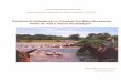 Comitiva de boiadeiros no Pantanal Sul-Mato-Grossense ... · 5 autorizo a reproduÇÃo e divulgaÇÃo total ou parcial deste trabalho, por qualquer meio convencional ou eletrÔnico,
