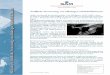 Stoffliche Verwertung von ölhaltigen Schleifschlämmen · PDF fileKurzinfo 6: Stoffliche Verwertung von ölhaltigen Schleifschlämmen Um die grundsätzliche Verwertbarkeit eines ölhaltigen