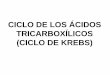 CICLO DE LOS ÁCIDOS TRICARBOXÍLICOS (CICLO DE KREBS) · Metabolismo aeróbico completo de la glucosa (hasta CO 2 y OH 2). Requiere la acción concertada de la glucólisis, el ciclo