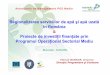 Programul Operaţional Sectorial în România Titlul ... Industries/Library... · supravietuire la cea de extindere/dezvoltare a afacerii! Asistentele FOPIP pentru regionalizare (2)