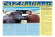 Enero-Pebrero 2016 NIZ Balitaan - pcc.gov.ph · labindalawang buwan. •Ang pagtatasa sa halaga ng bulo ay base sa “PCC Guidelines on Pricing of Breeding and Non-breeding Bu aloes”