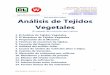 Análisis de Tejidos Vegetales - westanalitica.com.mxwestanalitica.com.mx/.../2018/04/Análisis-de-Tejidos-Vegetales.pdf · 4 West Analítica y Servicios S.A. de C.V. 3. Preparación