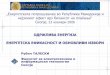 , 23 ноември 2006 - Македонски · примарни облици на енергија (нафта, гас, јаглен) секундарни облици (електрична