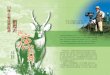 由林務局與荒野保護協會共同製作，台灣第一部水鹿生態紀錄片「逐鹿蹤 源」，即將於6月11日正式發表，這 … · 在新書發表會上，林務局顏仁德局長說明水鹿在台灣的歷史與生態狀況膋