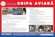 Cum se manifestă infecţia? Simptome clinice - ansa.gov.mdansa.gov.md/uploads/files/Materiale informative educative/Gripa Aviară.pdf · zată de virusul gripal H5N8 care afectează