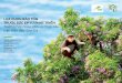 LỰA CHỌN BẢO TỒN TRƯỚC SỨC ÉP TỪ PHÁT TRIỂN: Trường …nature.org.vn/vn/wp-content/uploads/2017/04/280417_VoocSonTra.pdf · cũng đứng trong top 3 quốc