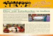 Jüngste Solarkocher-Schulung im Barli-Institut · 2 PLATTFORM NEWS PN 3/2008 onen des Bundesstaates Madhya Pradesh im Ein-satz sind. Zu Beginn des So-larkocher-Trainings erhalten