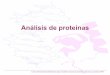 Análisis de proteínas - herramientas.qb.fcen.uba.ar · Tipos de aminoácidos Dependiendo de su carga electrostática final, los aminoácidos pueden clasificarse en polares, no polares