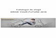 Catalogul de stagii DRIVE YOUR FUTURE 2016mecanica.ucv.ro/Studenti/Informatii/Catalog Teme DYF.pdf · automobilului şi de cinci locaţii în care se desfăşoară activitatea: Piteşti,