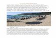 Osvajanje južne Italije 2016 - ccs-si.com Južne Italije 2016 - GoranRovan.pdf · Južna Italija je polna čudovitih peščenih plaž 1. torek, 21.6.2016 Sežana, Benetke, Ravenna,
