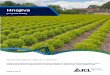 Hnojiva - bbcom.cz · Listová hnojiva Agroleaf Power jsou ideálním doplňkem k hnojení do půdy. Agroleaf Power obsahuje mimo běžných živin také technologie DPI a M-77, které
