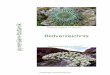 (Bildverzeichnis pyren en-botanik ab 2013)152173.webhosting58.1blu.de/wp-content/uploads/2011/12/Bildverzeichnis... · A-009 Aconitum Red Wine A-011 Aconitum x arendsii A-013 Actaea
