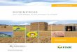 Bioenergie: die vielfأ¤ltige erneuerbare Energie 2 Vorwort Bioenergie ist Deutschlands bedeutendster
