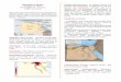 Republica EGIPT U - roburse.ro · Repere istorice: Egiptul Antic (primul regat –unirea Egiptului de Nord cu cel de Sud sub regele Menes la 3200 î.Hr.).; Tutmes și Ramses au transformat