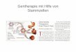Gentherapie mit Hilfe von Stammzellen - Wilkommenmolgen.biologie.uni-mainz.de/Downloads/PDFs/VL Gentechnologie7_06.pdf · Im Stadium der Blastocyste (ca. 6 Tage nach Befruchtung)