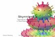 Skyrmionics · - Das Feld der Skyrmionen ist hochaktuell. - Führung deutscher Wissenschaftler in einem „emerging ﬁeld“. - Bestehende und sehr erfolgreiche Zusammenarbeit zwischen