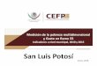 San Luis Potosí - cefp.gob.mx · San Luis Potosí Medición de la pobreza multidimensional y Gasto en Ramo 33 Indicadores a nivel municipal, 2010 y 2015 San Luis Potosí Enero, 2018