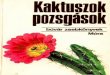 Kaktuszok pozsgások - kaktusz-es-pozsgas-tarsasag.hukaktusz-es-pozsgas-tarsasag.hu/.../cikk/nid-418/...kaktuszok-pozsgasok.pdf · óriási szikiák között kögörgetegek. A havas
