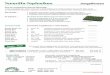 Teneriffa-Topfnelken Jungpflanzen · Kulturinformation Teneriffa-Topfnelken Sehr wichtig ! Wichtig - gießen sie die Pflanzen im Jungstadium, besonders wenn sich diese noch in den