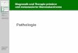 Pathologie - AGO-Online · Diagnostik und Therapie primärer und metastasierter Mammakarzinome © AGO e. V. in der DGGG e.V. sowie in der DKG e.V. Guidelines Breast Version 2016.1D