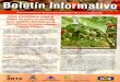 6).pdf · En Colombia se le llama, lulo, naranji//a o toronja Esta planta también es conocida con los nombres de La naranjilla es un arbusto herbáceo que Ilega alcanzar hasta 2,5