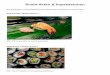 SushiArten & Impressionen - bilder.xregional.de · SushiArten & Impressionen Die wichtigsten in Deutschland's SushiRestaurants angebotenen SushiTypen: NigiriSushi („BallenSushi“)