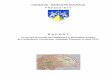 R A P O R T - cjsuceava.ro presedinte 2013.pdf · Realizarea documentației pentru proiectul „Turism montan în Bucovina”; Demararea proiectului de promovare a județului prin