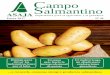 Campo Salmantino - asajacyl.com · también a todos los eslabones que cierran el círculo del cultivo así como la cantidad de productores que siguen acercándose a las oficinas de