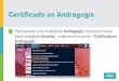 Certificado en Andragogía · 2 El programa de certificación comienza con una serie de módulos básicos y finaliza con un módulo avanzado. Para comprender el modelo de aprendizaje