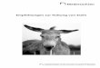Niedersachsen Empfehlungen zur Haltung von Eselnesel-online.de/dloads/Esel_flat.pdf · Empfehlungen zur Haltung von Eseln Niedersachsen Landesbeauftragter für den Tierschutz des