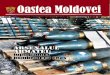 Arsenalul armatei - army.md2017).pdf · 2 Oastea Moldovei Ianuarie 2017 3 Lucrările prezentate în cadrul unui concurs de desen și pictură vin să confirme ideea că în structura