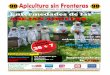 Apicultura sin Fronteras · 98 98 revista digital gratis para el sector apicola. prohibida su comercializacion apicultura sin fronteras revista internacional de apicultura gratis