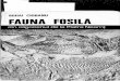  M'IHAI CIOBANU FAUNA· FOSILA - museunacional.ufrj.br 1977... · 40 FAUNA FOSI'LA DIN OL!IGOCENUL DE LA PDA'l\RA NEAMŢ Maximul de lăţime în partea peristomului (7 -14 mm) ~i