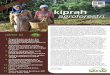 World Argoforestry Centre (ICRAF) Indonesia Volume 7 No. 1 ...old.worldagroforestry.org/sea/Publications/files/newsletter/NL0061-14.pdf · pemasaran yang di hadapi masyarakat di sana