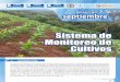 Sistema de Monitoreo de Cultivos - precios.maga.gob.gt Boletín SMC - Septiembre - 2013.pdf · estimar las pérdidas en los cultivos de maíz y frijol a nivel de los territorios