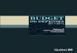 Budget de dépenses Budget - tresor.gouv.qc.ca · concerne la supercatégorie « Transfert » ou la catégorie « Support » de la supercatégorie « Affectation à un fonds spécial