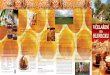 Med O medu - recepty Léčivé účinky · z Hlinecka O medu - recepty Léčivé účinky VČELAŘENÍ HLINECKU na Med z Hlinecka je název regionálního pro-duktu, na jehož vzniku
