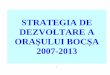 STRATEGIA DE DEZVOLTARE A ORA ŞULUI BOC ŞA 2007-2013 strategii/Caras-Severin... · echipamente electrice şi optice,industria produselor primare ,industria metalurgic ă şi a produselor