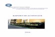 Raport-de-activitate-DGPAPSE 2014 FINAL-1-1energie.gov.ro/wp-content/uploads/2016/02/Raport-de-activitate-DGPAPSE... · fuziuni, divizări, modificări ale structurii de capital 38