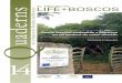 LIFE+ EL PROJECTE uaderns - lifeboscos.cime.eslifeboscos.cime.es/WebEditor/Pagines/file/WCATALA_LW_Layman.pdf · 78 73 05 10 1133 223a 581 758 286561€ ... especial, la dels ecosistemes