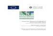 Regionale Wettbewerbsfähigkeit Steiermark 2007-2013 · Regionale Wettbewerbsfähigkeit Steiermark 2007-2013 Europäische Fonds für regionale Entwicklung (EFRE) Operationelles Programm