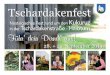 Nostalgisches Fest rund um den Kukuruz in der Halbturn ... · Tschardakenfest Führ‘ dein Dirndl aus! 28. + 29. September 2019 Nostalgisches Fest rund um den Kukuruz in der Tschardakenstraße