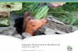 2015-2017 katalog 2015-2017.pdf · sadržaj motovilac komoraČ Špargla 64 65 65 beli kupus crveni kupus kelj karfiol brokoli 6 16 18 20 24 kelj pupČar lisnati kelj / raŠtan kineski