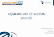 Reparatie van de vaginale prolaps - urologieoostende.be · Types prolaps • Voorste vaginaal compartiment ... Transvaginale operatie met net (mesh) • PROSPECT studie • >1000