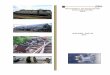 RAPORT ANUAL - agifer.ro ANUAL OIFR 2013.pdf · Pân în anul 2006 cauzele producerii accidentelor i evenimentelor în activitatea de transport feroviar i cu metroul din România