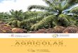 BUENAS PRÁCTICAS AGRÍCOLAS - agrocalidad.gob.ec · Que, el artículo 24 de la Ley Orgánica del Régimen de la Soberanía Alimentaria, publicado en el Registro Oficial Suplemento