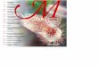 ADVERTIMENT - parcdesalutmar.cat · BHE barrera hematoencefàlica cap càpsula CGP coccus grampositiu CIM concentració inhibitòria mínima ClCr aclariment de creatinina CMV citomegalovirus