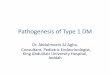 Pathogenesis of Type 1 DM - kau Pathogenesis of Type 1 DM • Type 1 diabetes is characterized by autoimmune destruction of insulin-producing β cells in the pancreas by CD4+ and CD8+
